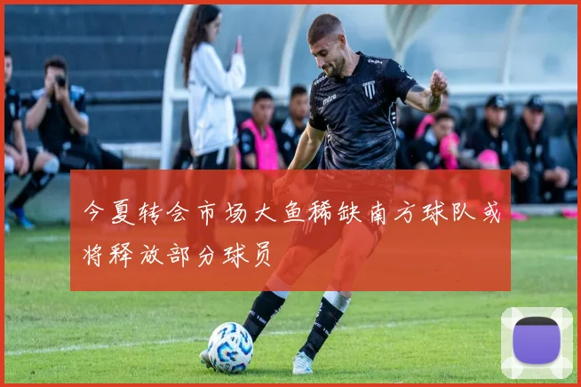今夏转会市场大鱼稀缺南方球队或将释放部分球员