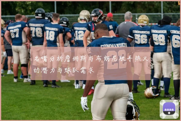 名嘴分析詹姆斯与布朗尼联手热火的潜力与球队需求